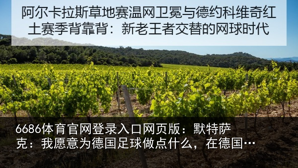6686体育官网登录入口网页版：默特萨克：我愿意相关情况么，在德国足协工作没问题