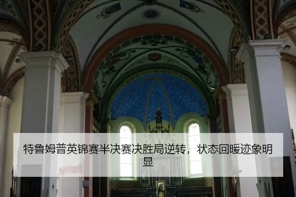 te-lu-mu-pu-ying-jin-sai-ban-jue-sai-jue-sheng-ju-ni-zhuan-zhuang-tai-hui-nuan-ji-xiang-ming-xian-3-638.jpg