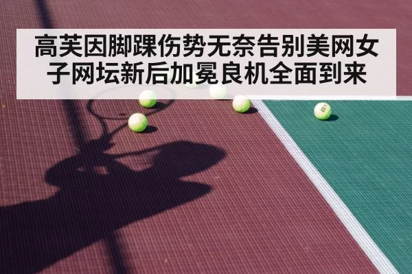 高芙因脚踝伤势无奈告别美网女子网坛新后加冕良机全面到来