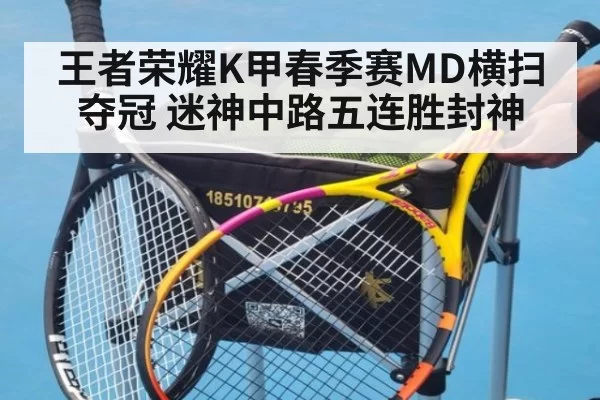 王者荣耀K甲春季赛MD横扫夺冠 迷神中路五连胜封神